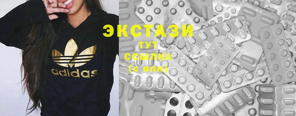 мдпв Вяземский
