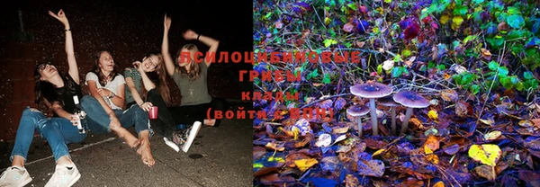 мдпв Вяземский
