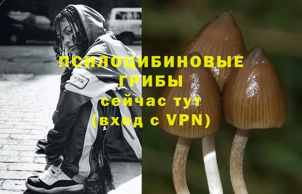 дмт Вязьма