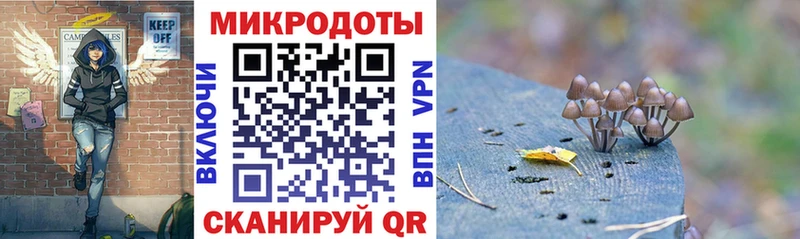 Галлюциногенные грибы Cubensis  Канаш 
